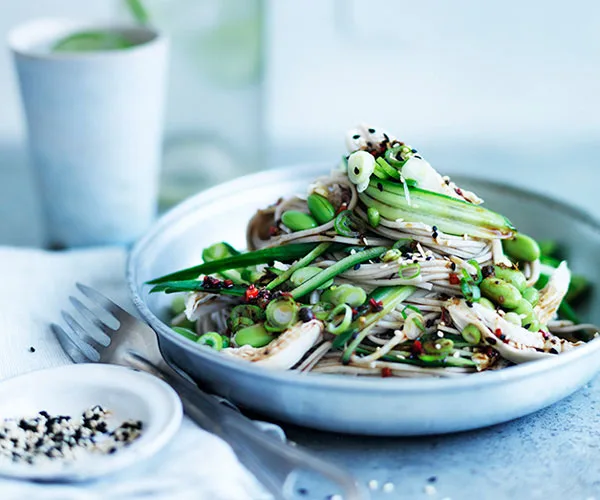 Sichuan chicken salad with chilled noodles and cucumber