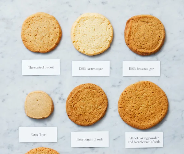 The biscuit line-up