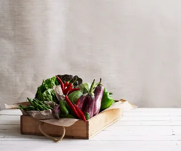 How to keep food fresh