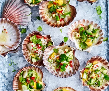 Scallop ceviche with mango and avocado salsa