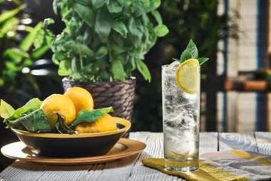 Say hello to your new favourite organic soda