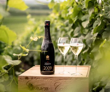 Why this Champagne is one to reach for – again and again