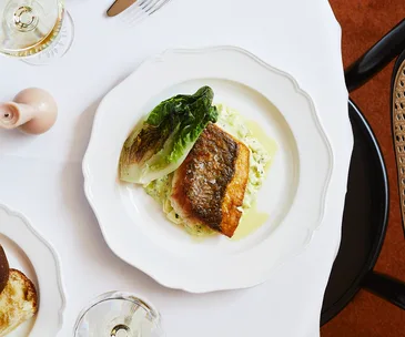 Pan-roasted snapper with tarragon gribiche