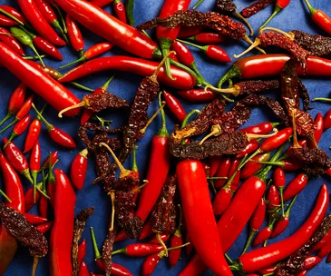 Different types of chillies and the history of chilli around the world. 