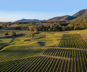 6 coffee table books about wine to gift the budding sommelier