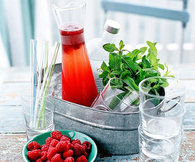 Watermelon, raspberry and mint vodka cups