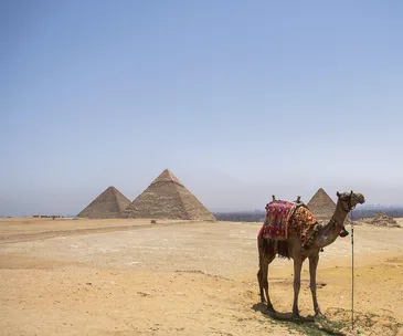 Queen of the Nile: A guide to Egypt