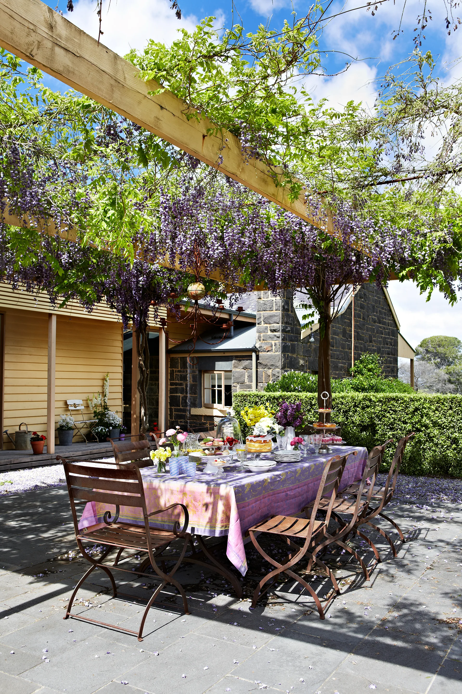 Pergola to the rear of a country home. Purple wisteria covers the pergola.