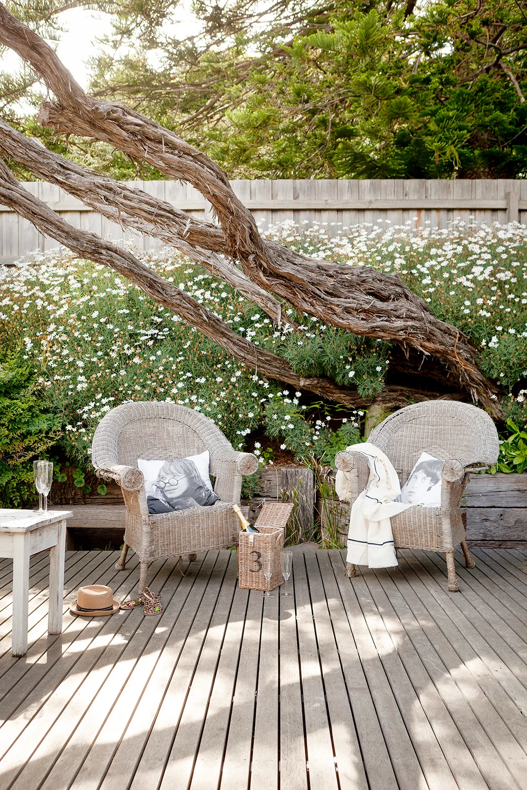 Coastal deck with pair of wicker armchairs beneath tree.