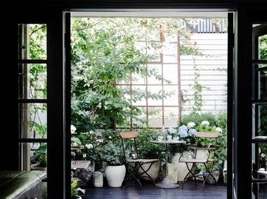 French doors leading from a kitchen into a courtyard decorated with ecclectic vintage plant pots.