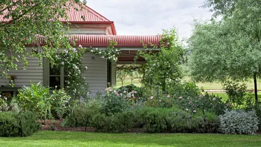 Cottage farmhouse surrounded by lush green cottage garden designed by Paul Bangay.