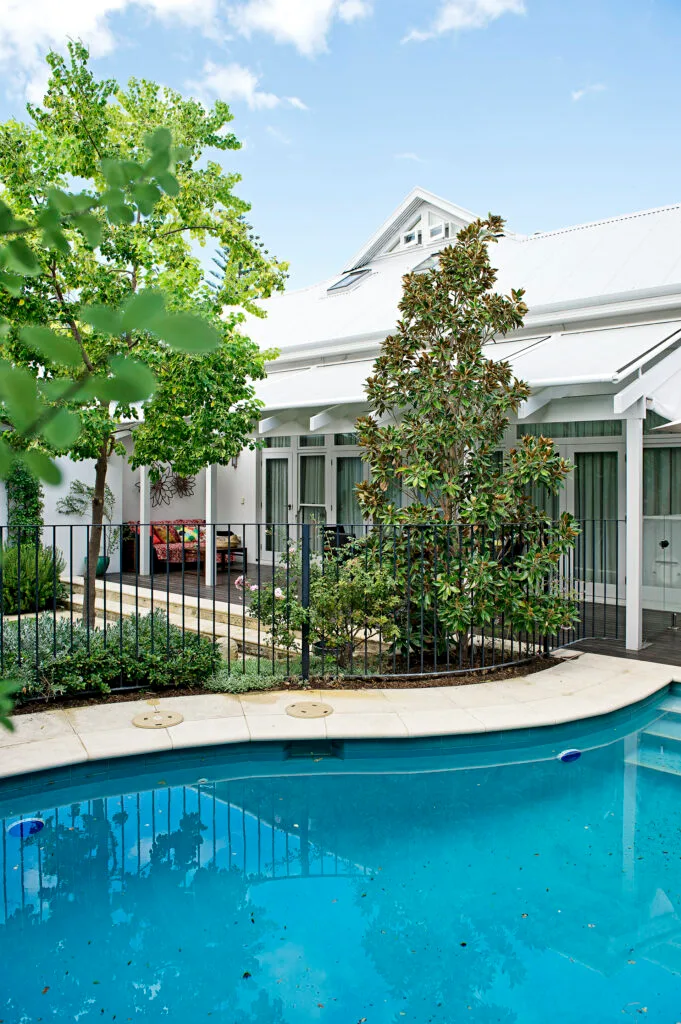 Evergreen backyard garden with pool in foreground.