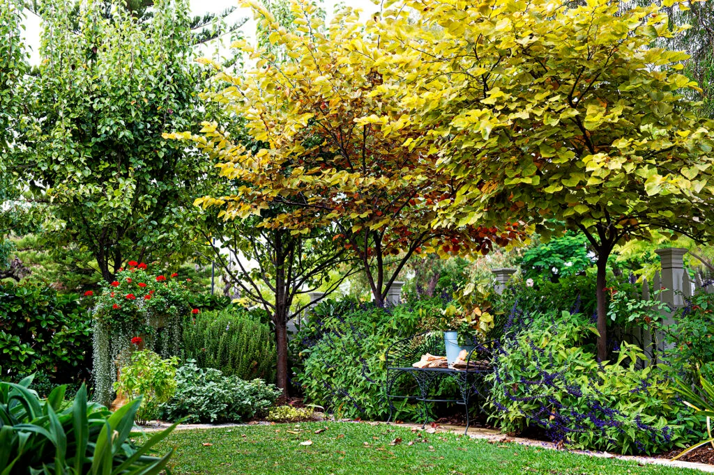 Landscape picture of evergreen garden with bistro seating setting.