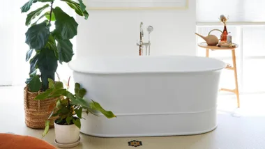 Plants next to a bath.