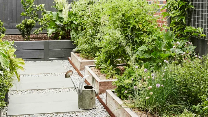 How to grow a edible garden