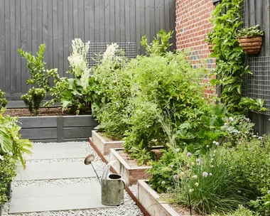 How to grow a edible garden