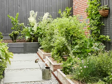 How to grow a edible garden