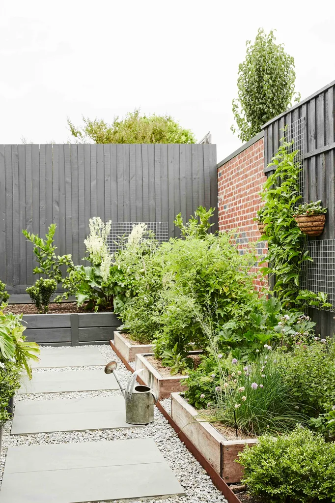 How to grow a edible garden