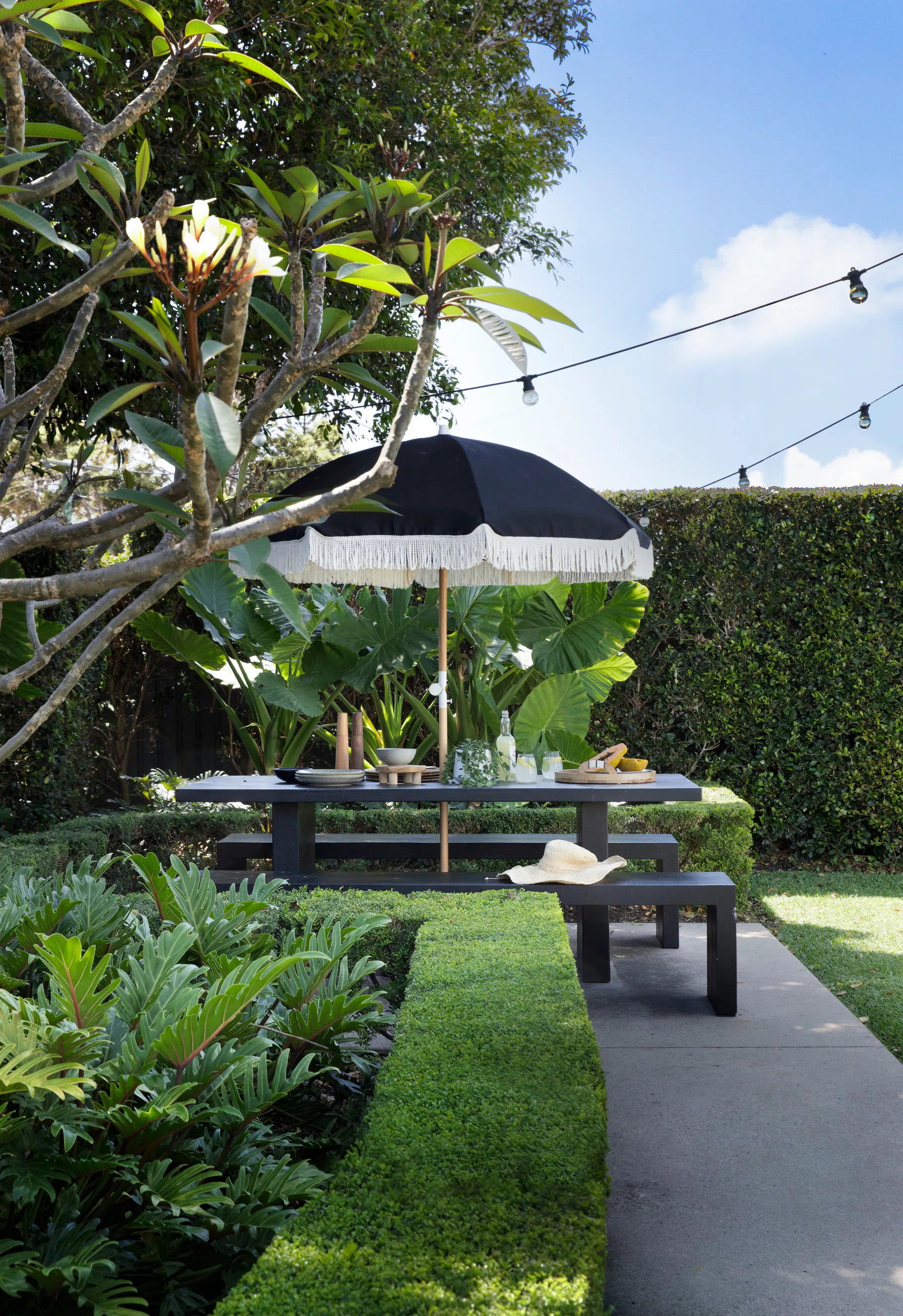 An umbrella in a back garden. 