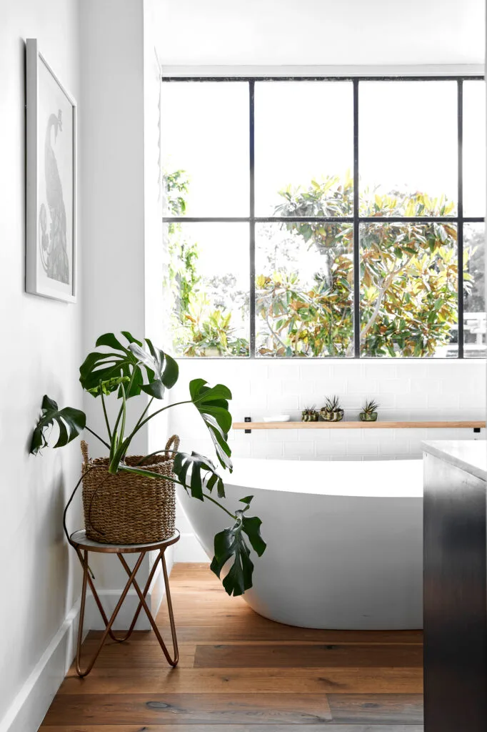 Rustic bathroom with freestanding tub and plant on stool