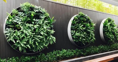 An expert’s guide to vertical gardens