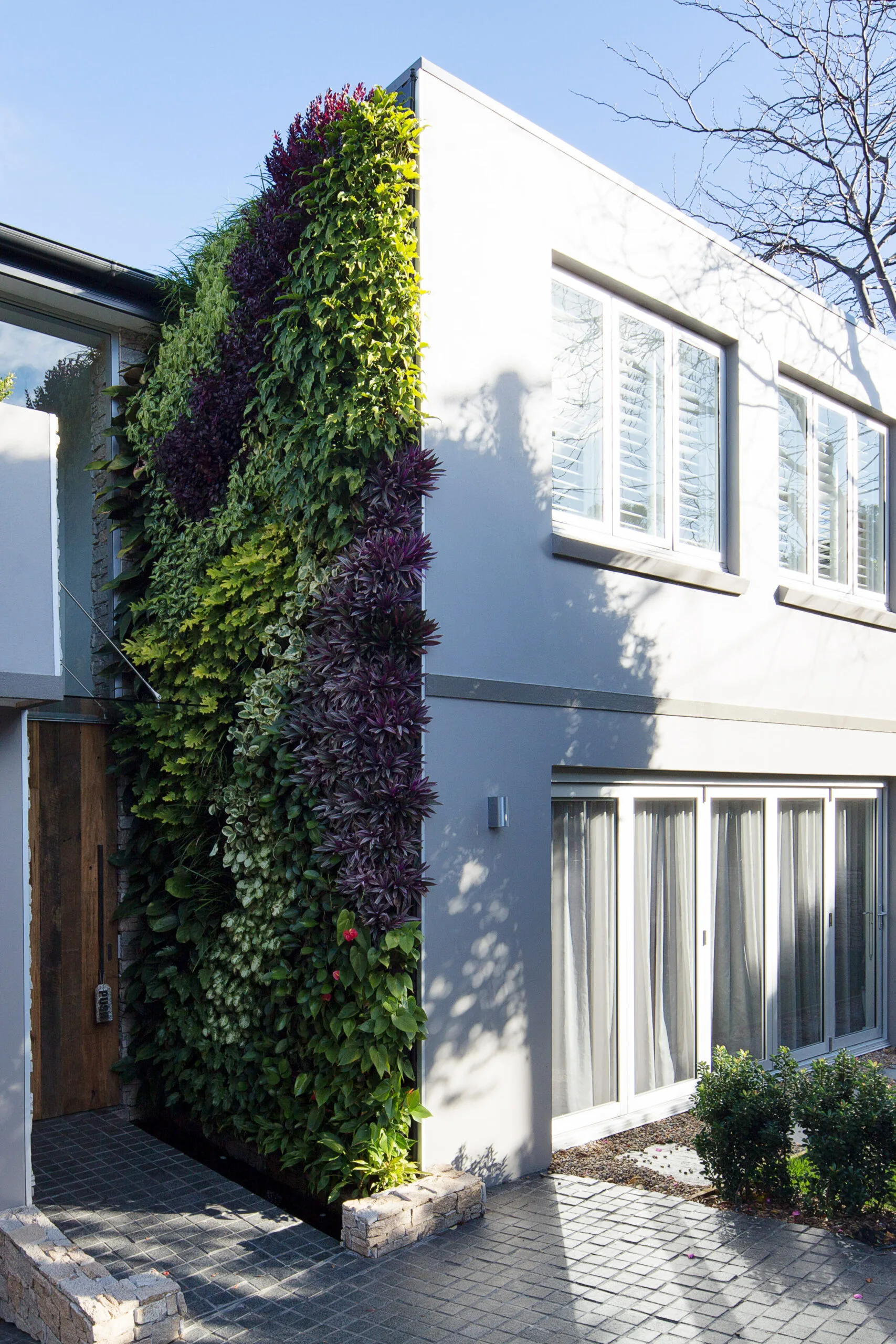 Vertical garden: An expert's guide to growing a lush, healthy plants ...