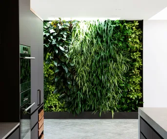 an expert guide to vertical gardens