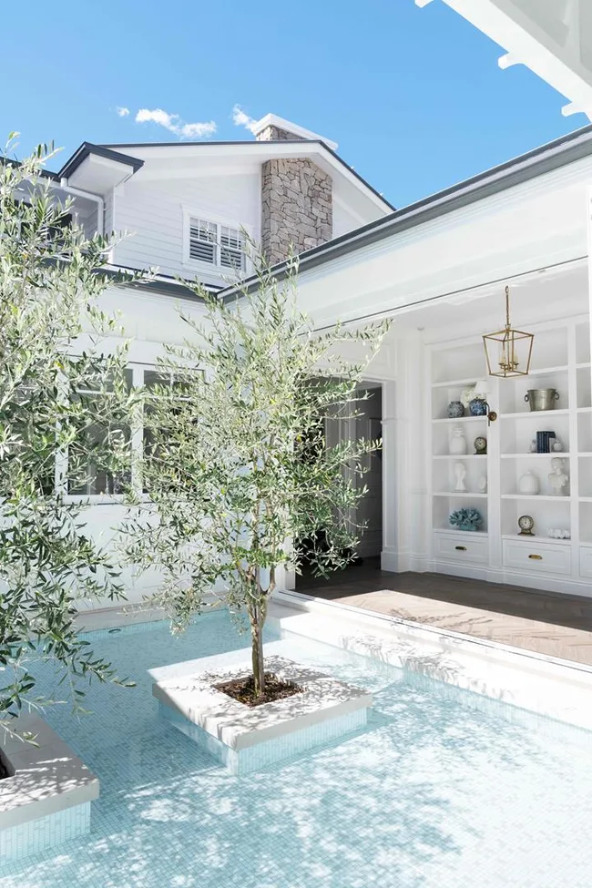 Courtyard with a small tree centered in a water feature, surrounded by white walls and a built-in shelf.