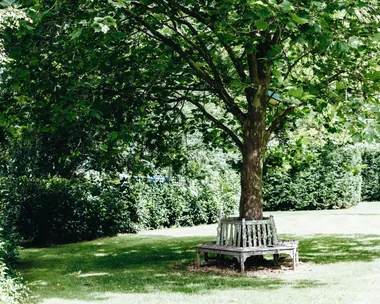 6  gardening jobs to tick off in autumn