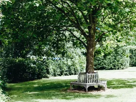 6  gardening jobs to tick off in autumn