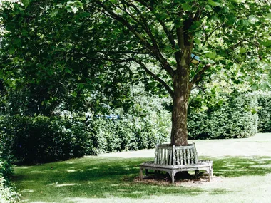 6  gardening jobs to tick off in autumn