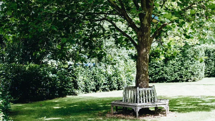 6  gardening jobs to tick off in autumn