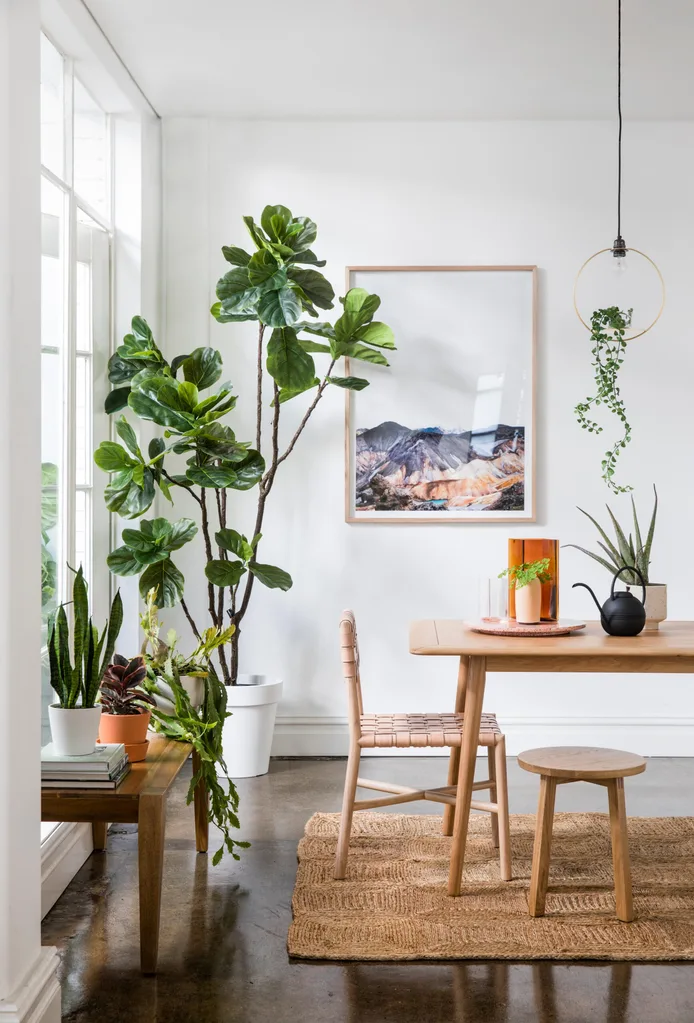 Bright room with houseplants, a table, chairs, and a mountain photograph on the wall. Natural and serene setting.