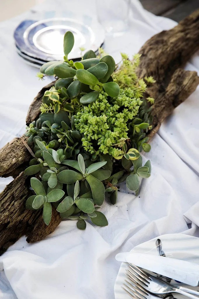 Birds eye view of driftwood succulent table centrepiece