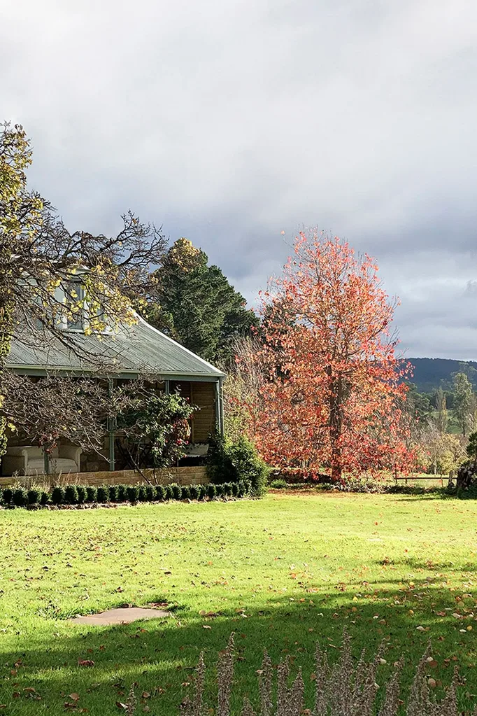 Country house with autumnal tree in the midground