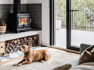 Nectre fireplace with concrete ledge and firewood storage
