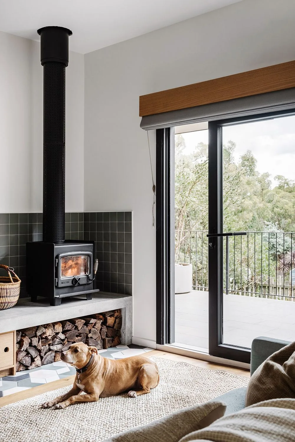 Dog sitting in front of a fireplace in a modern country style home