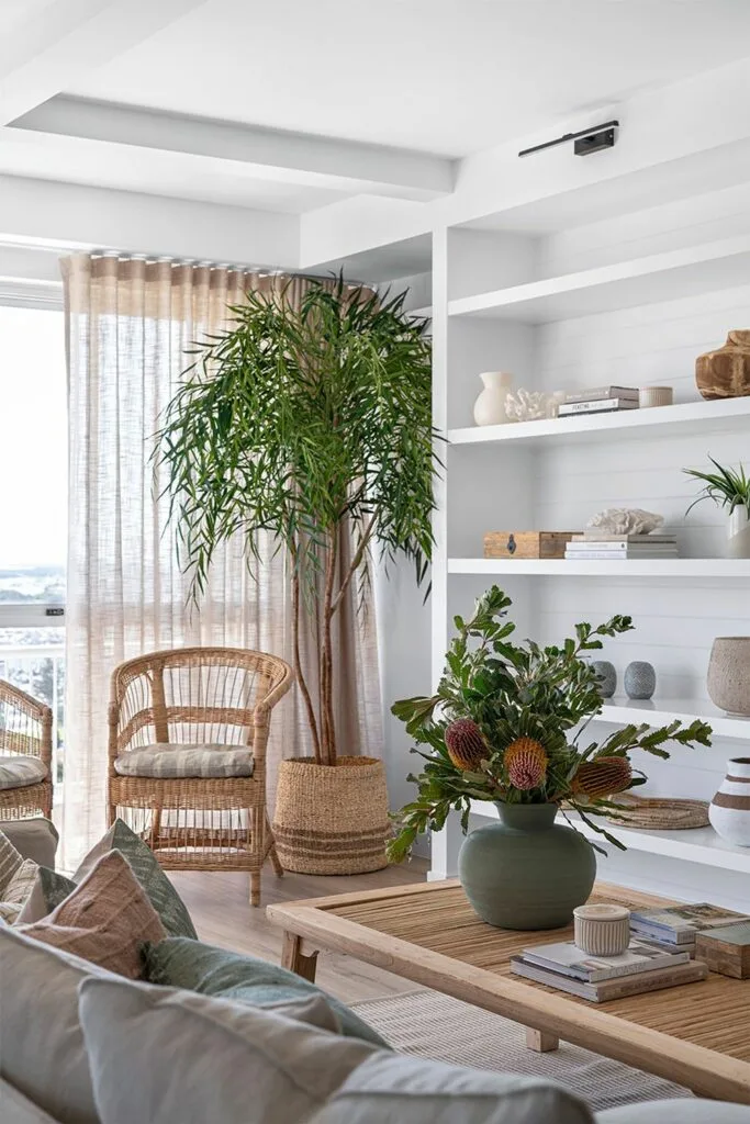 Coastal living room with a large indoor plant tree in the corner