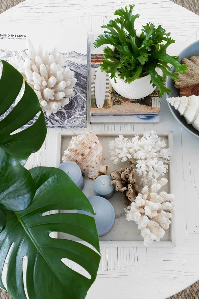 Hamptons coffee table with shells and coral