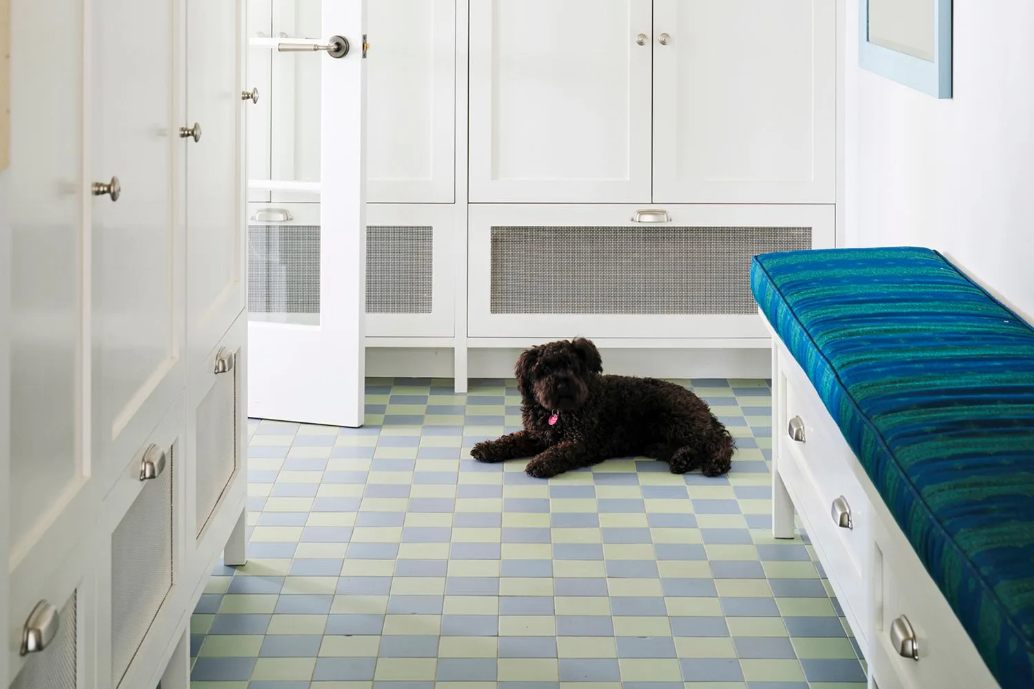 A black dog with a pink tag lying on checkered tiles in a white room with a blue cushioned bench.