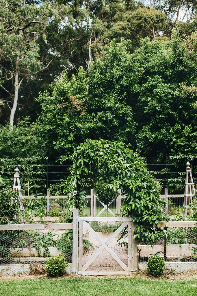 Vegetable garden with gate