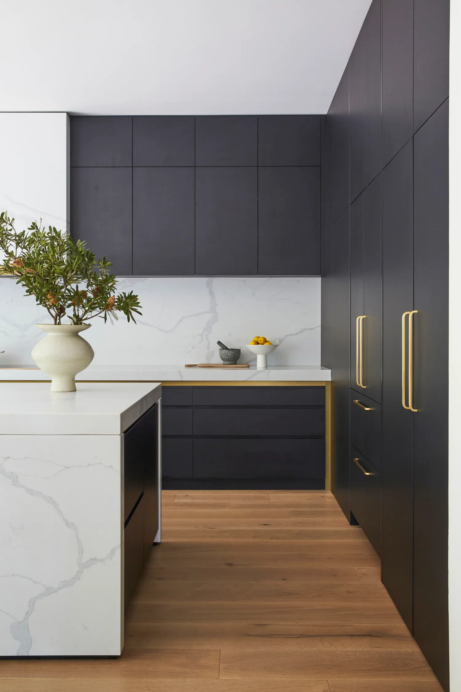 modernised federation home mosman black kitchen cabinetry