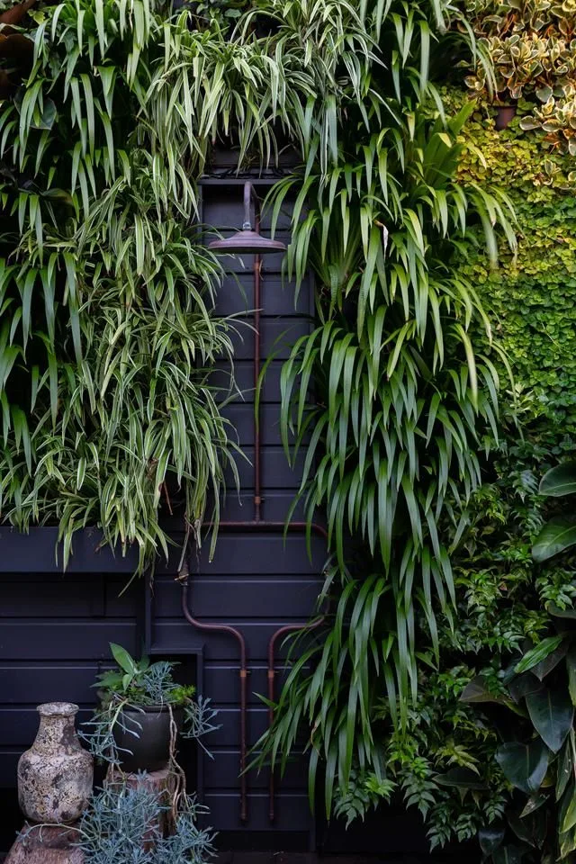 Vertical garden with outdoor shower