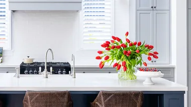 How to grow tulips and bring their “effortlessly chic” style indoors