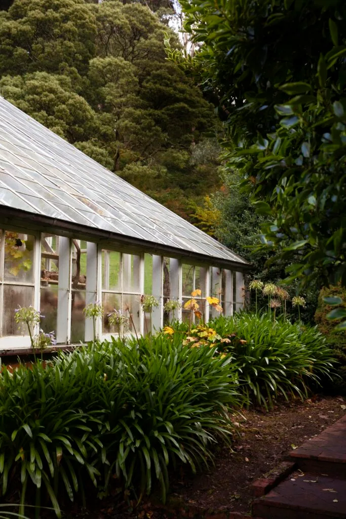 mount macedon enchanted forest garden glasshouse agapanthus