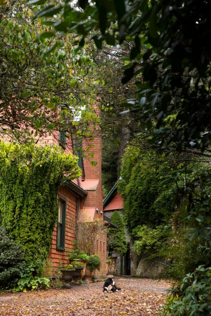 mount macedon enchanted forest garden house