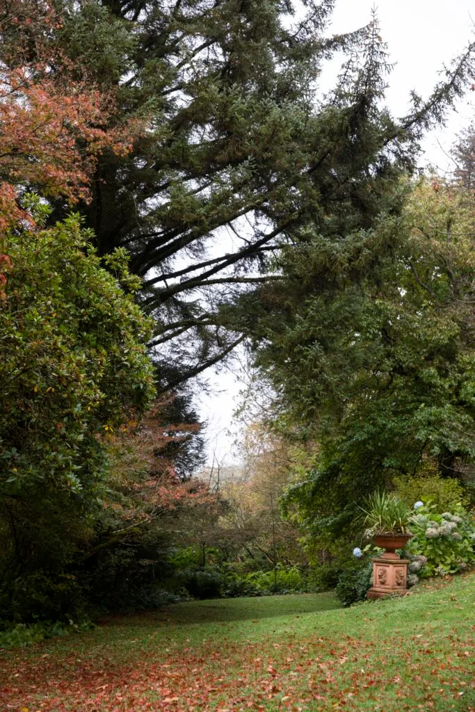 mount macedon enchanted forest garden lawn