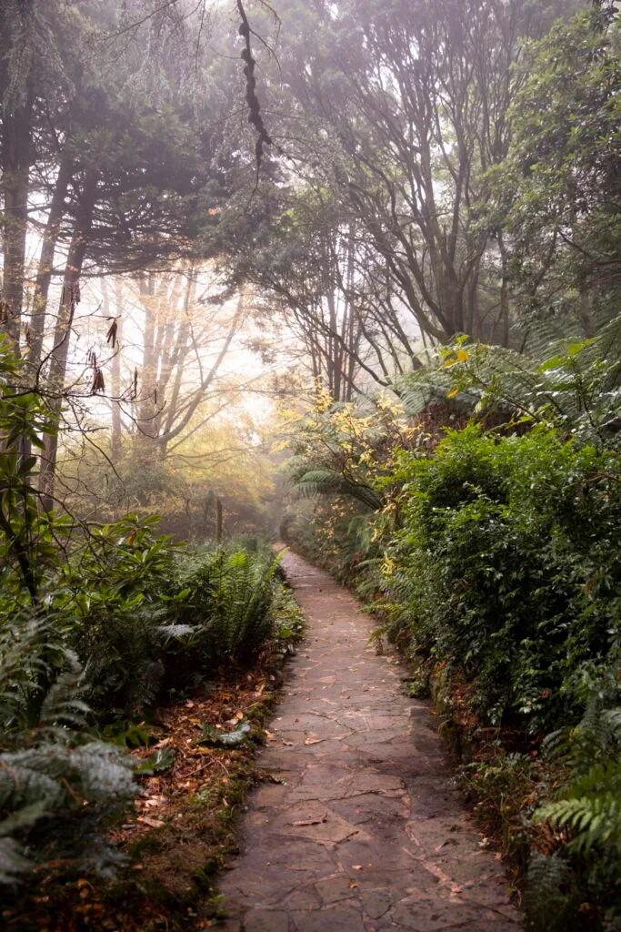 mount macedon enchanted forest garden slate path