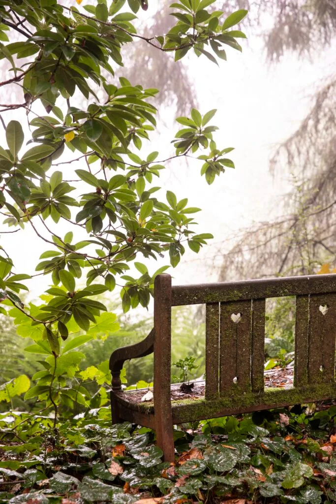 mount macedon enchanted forest garden teak garden bench