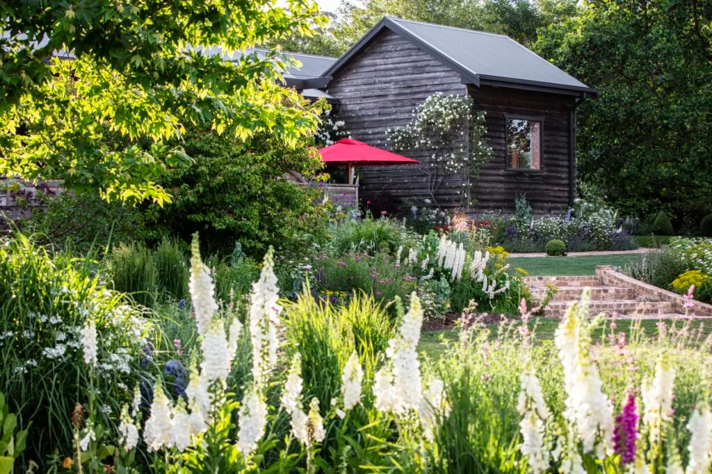 Weatherboard country cottage garden with foxglove flowers and trees.